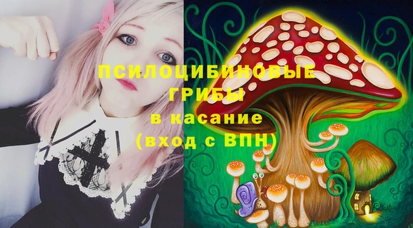 твердый Алексин