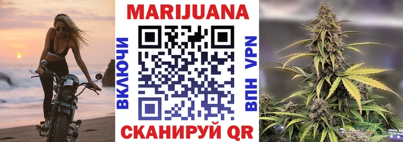 где найти   Апшеронск  Канабис семена 